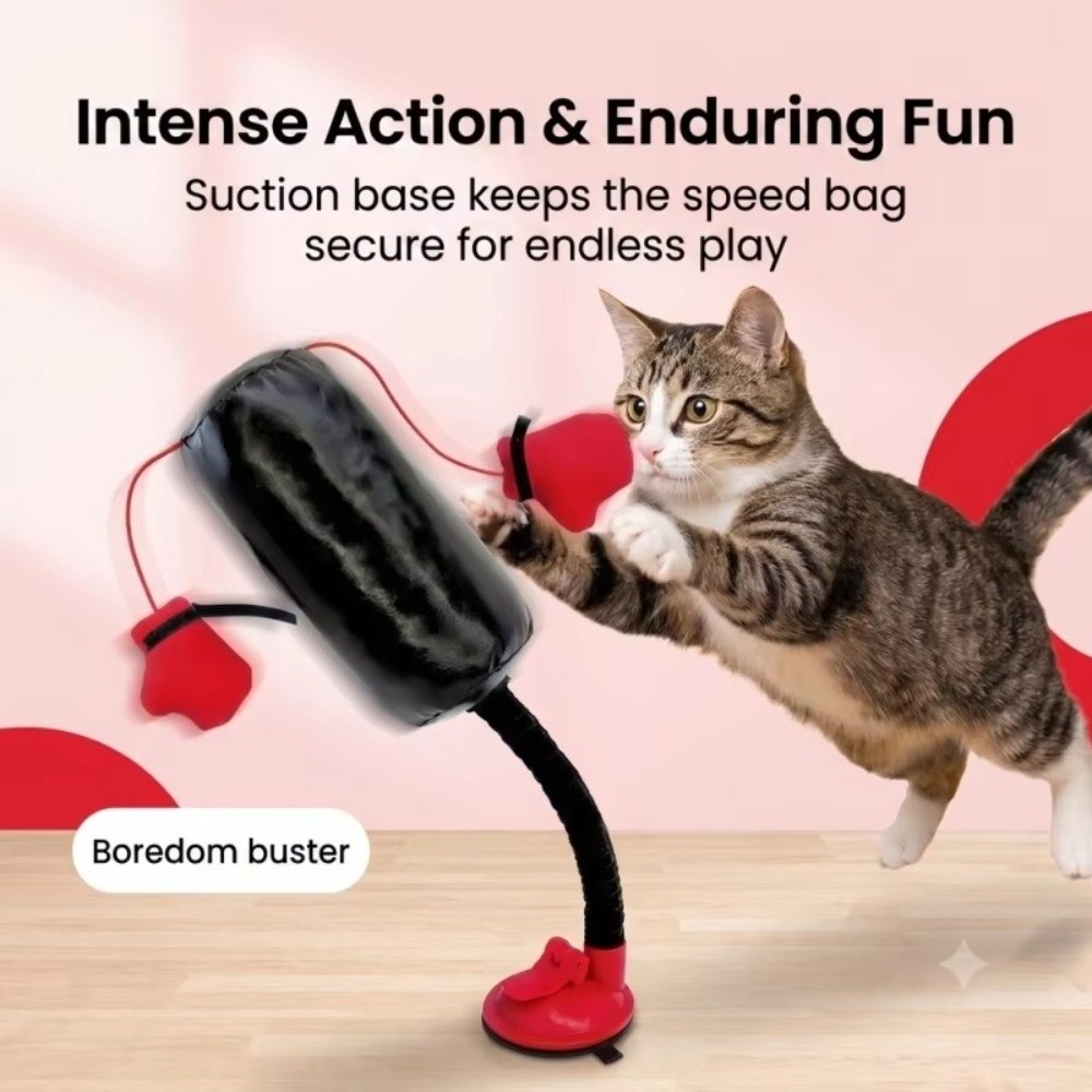 Boxing Bag Stand - Zuignapvoet Kat Boksspeelgoed Zelfstaand Veerbelast Kattenkrabpaal